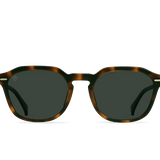 CLYVE POLARIZED