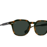 CLYVE POLARIZED