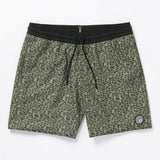 STONEY TRUNK
