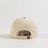 WIRED SIX PANEL CAP